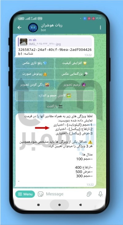 تلگرامی